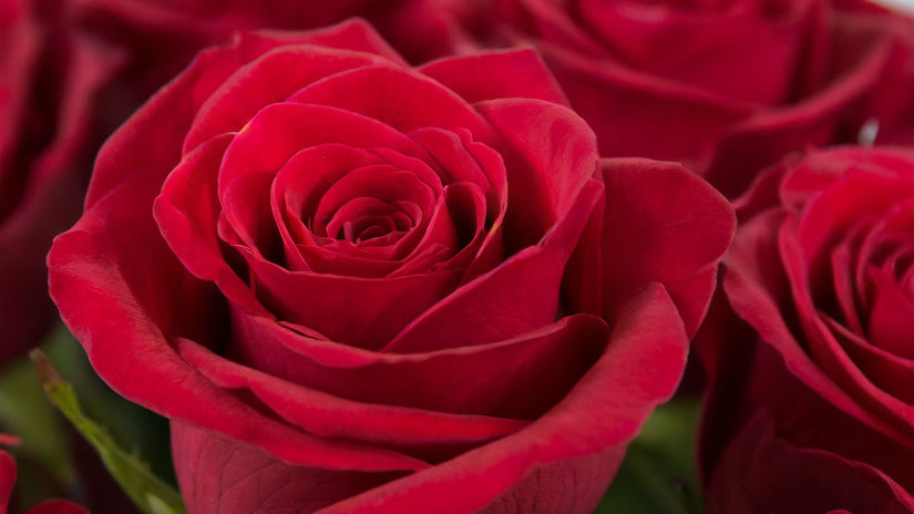 VALENTINES 2024 - REEL